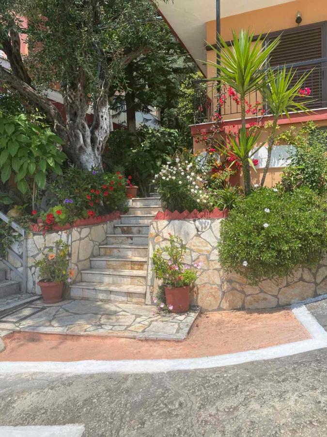 Vasiliki See View Apartments Barbati Exterior photo